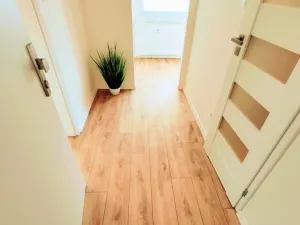 Pronájem bytu 1+1, Holýšov, Pod Makovým vrchem, 32 m2