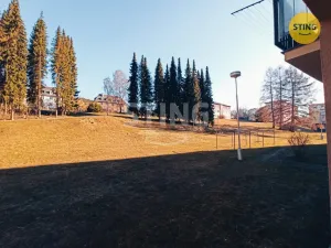 Prodej bytu 2+1, Jeseník, Halasova, 54 m2