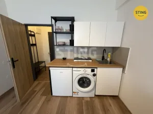 Pronájem bytu 1+kk, Ostrava, Nádražní, 19 m2