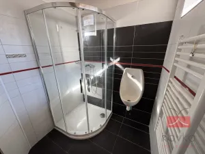 Pronájem bytu 2+kk, Humpolec, Dolní náměstí, 103 m2
