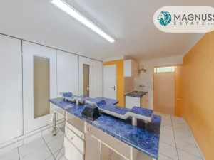 Prodej vícegeneračního domu, Přerov, Boženy Němcové, 208 m2