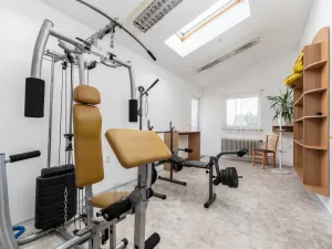 Prodej rodinného domu, Čejkovice, 218 m2