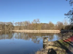 Prodej chaty, Velký Bor - Slivonice, 35 m2