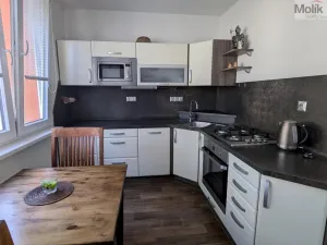 Prodej bytu 2+1, Duchcov, V Domkách, 60 m2