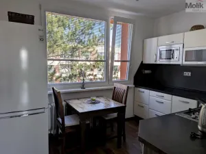 Prodej bytu 2+1, Duchcov, V Domkách, 60 m2