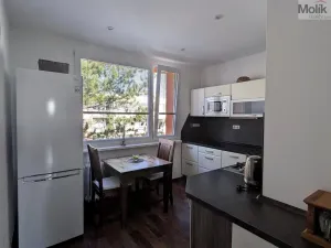 Prodej bytu 2+1, Duchcov, V Domkách, 60 m2