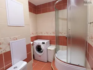 Prodej bytu 2+1, Duchcov, V Domkách, 60 m2