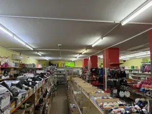 Prodej obchodního prostoru, Sušice - Sušice I, náměstí Svobody, 385 m2