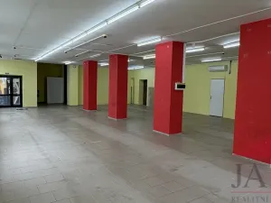 Prodej obchodního prostoru, Sušice - Sušice I, náměstí Svobody, 385 m2