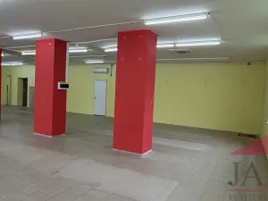 Prodej obchodního prostoru, Sušice - Sušice I, náměstí Svobody, 385 m2