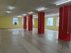 Prodej obchodního prostoru, Sušice - Sušice I, náměstí Svobody, 385 m2