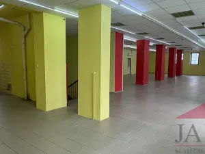 Prodej obchodního prostoru, Sušice - Sušice I, náměstí Svobody, 385 m2
