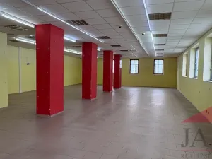 Prodej obchodního prostoru, Sušice - Sušice I, náměstí Svobody, 385 m2