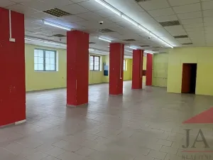 Prodej obchodního prostoru, Sušice - Sušice I, náměstí Svobody, 385 m2