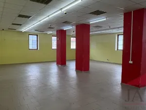 Prodej obchodního prostoru, Sušice - Sušice I, náměstí Svobody, 385 m2