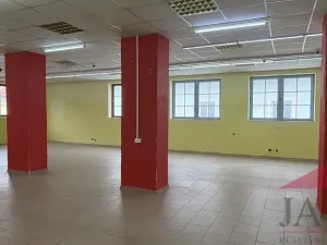 Prodej obchodního prostoru, Sušice - Sušice I, náměstí Svobody, 385 m2