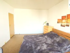 Pronájem bytu 2+kk, Cheb, Družstevní, 53 m2