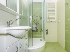 Prodej bytu 3+1, České Budějovice - České Budějovice 2, Otavská, 71 m2