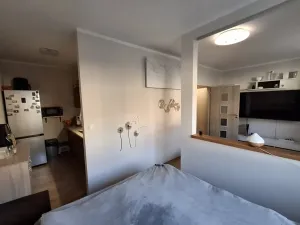 Prodej bytu 1+kk, Cheb, Žižkova, 32 m2