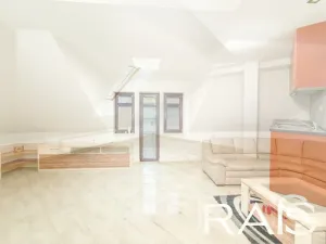 Prodej vícegeneračního domu, Hodonín, Muchova, 235 m2