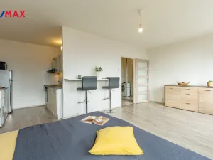 Prodej bytu 1+kk, Litvínov - Hamr, Přátelství, 33 m2