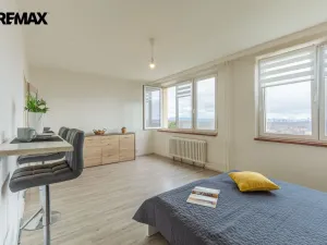 Prodej bytu 1+kk, Litvínov - Hamr, Přátelství, 33 m2