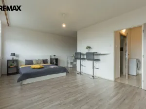 Prodej bytu 1+kk, Litvínov - Hamr, Přátelství, 33 m2