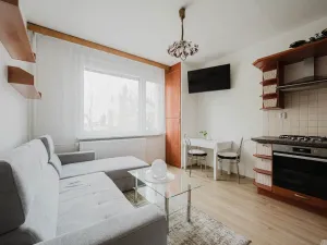 Prodej bytu 1+1, Pardubice - Zelené Předměstí, Palackého třída, 40 m2