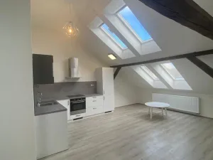 Pronájem bytu 2+kk, Plzeň - Východní Předměstí, Slovanská, 59 m2