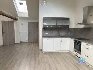 Pronájem bytu 2+kk, Plzeň - Východní Předměstí, Slovanská, 59 m2