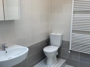 Pronájem bytu 2+kk, Plzeň - Východní Předměstí, Slovanská, 59 m2