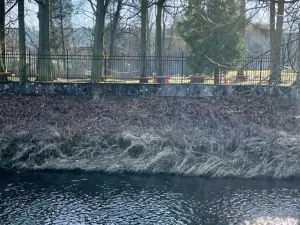 Prodej rodinného domu, Hronov, Husova, 140 m2