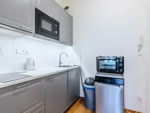 Prodej bytu 1+1, Praha - Karlín, Prvního pluku, 38 m2