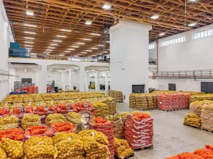 Prodej výrobních prostor, Kostelec nad Labem, Neratovická, 3457 m2