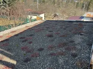 Prodej zahrady, Brno, 301 m2