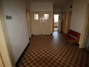 Pronájem bytu 3+1, Plzeň, Nepomucká, 146 m2