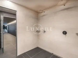 Pronájem bytu 4+kk, Praha - Smíchov, Holečkova, 178 m2