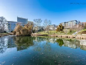 Pronájem bytu 3+kk, Praha - Břevnov, Radimova, 134 m2