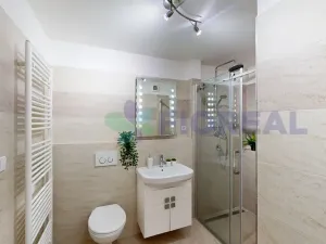 Pronájem bytu 1+kk, Praha - Žižkov, Rečkova, 32 m2