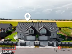 Prodej rodinného domu, Brandýsek, Nad Vodojemem, 196 m2