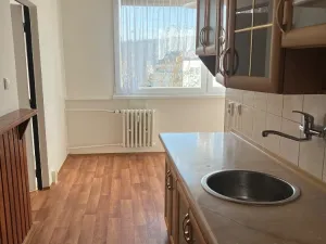 Pronájem bytu 2+1, Ústí nad Labem, U Pivovarské zahrady, 60 m2