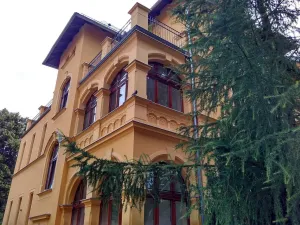 Pronájem bytu 2+1, Liberec, Masarykova, 100 m2