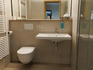 Pronájem bytu 1+kk, Plzeň, Pallova, 32 m2