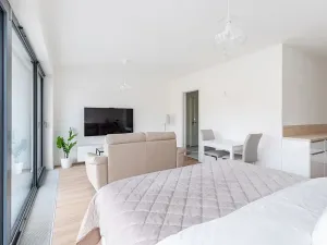 Pronájem bytu 1+kk, Brno - Veveří, Lidická, 52 m2