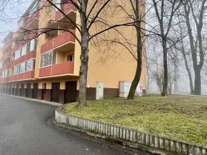 Pronájem bytu 1+1, Bohumín - Nový Bohumín, Šunychelská, 39 m2