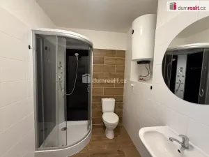 Pronájem bytu 2+1, Ústí nad Labem - Střekov, Purkyňova, 52 m2