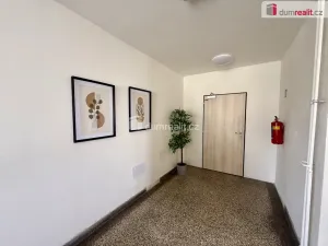 Pronájem bytu 2+kk, Ústí nad Labem, Purkyňova, 38 m2