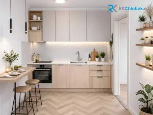 Prodej bytu 2+1, Frýdek-Místek, M. Chasáka, 46 m2