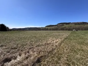 Prodej pozemku pro bydlení, Stvolová, 10555 m2