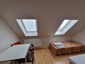 Pronájem rodinného domu, Telč, Na Posvátné, 260 m2